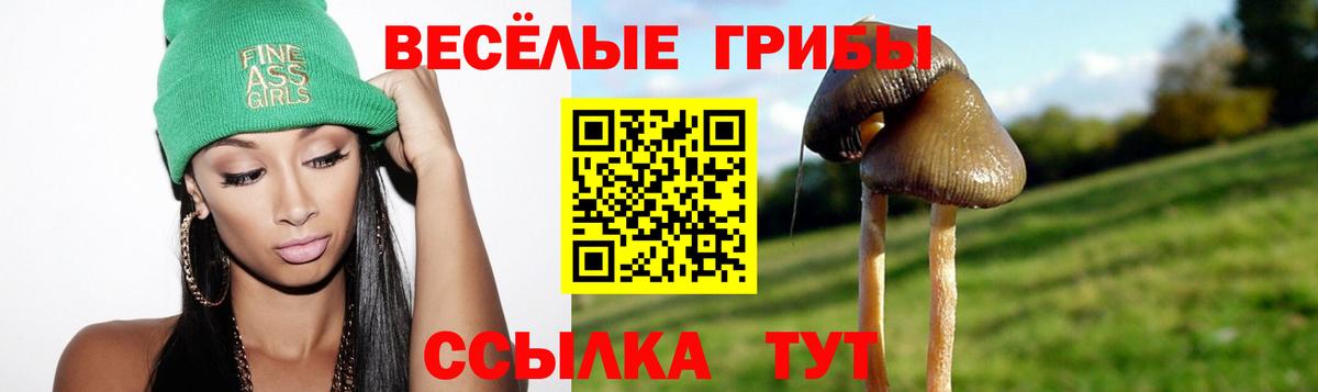 Псилоцибиновые грибы MAGIC MUSHROOMS  Галлюциногенные грибы GOLDEN TEACHER  Партизанск  Вход с VPN 